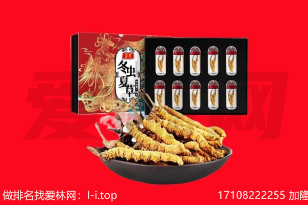 广州从化区回收虫草.jpg